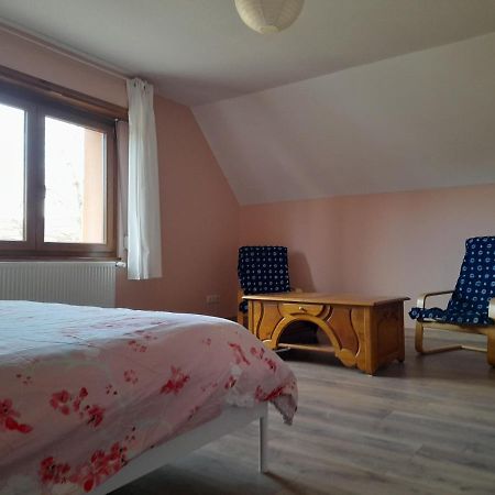 Appart 4 Pers Refait Neuf 90M2 Avec Balcon Baldenheim Extérieur photo