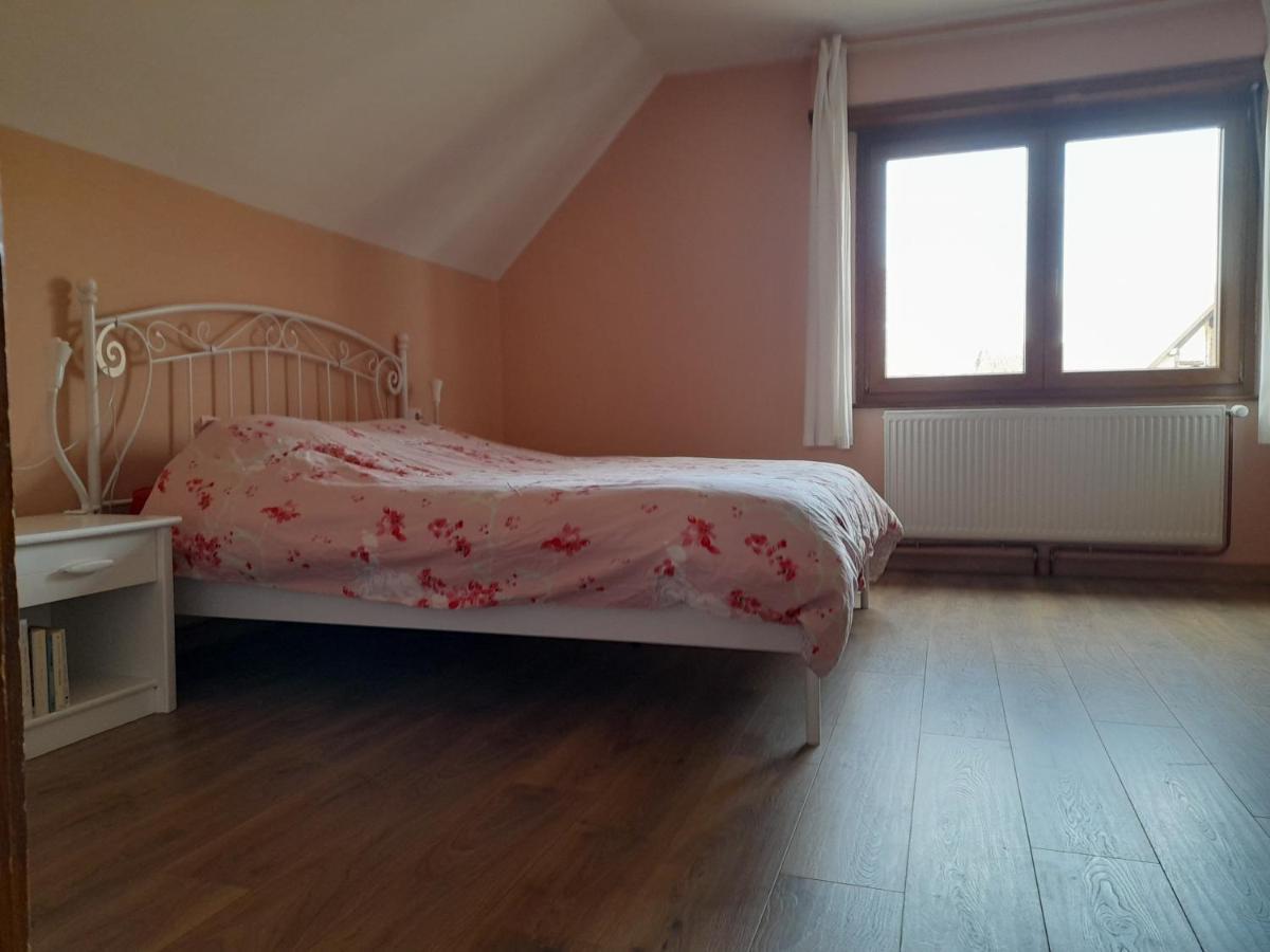Appart 4 Pers Refait Neuf 90M2 Avec Balcon Baldenheim Extérieur photo